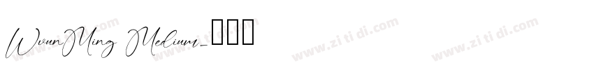 WvunMing Medium字体转换